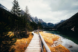 photography of a pathway near river surrounded by trees and mountains