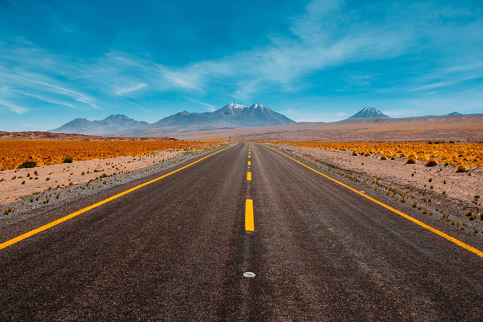 asphalt road, nature, road HD wallpaper