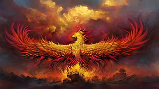 Phoenix logo HD wallpaper