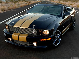 black and brown Ford Mustang convertible coupe, car, Shelby GT500 Roadster 2010