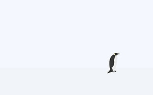 black penguin illustration