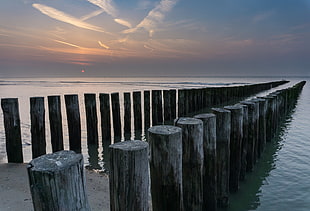 photo of gray wooden water posts during sunset HD wallpaper