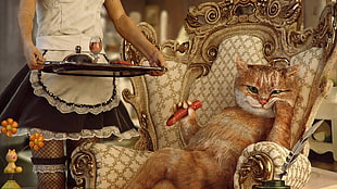 orange tabby car sitting on chair holding hotdog beside maid holding serving tray illustration, animals, digital art, cat, Wealth
