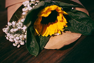 sunflower, Sunflower, Flowers, Bouquet HD wallpaper