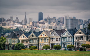 gray and beige houses, cityscape, building, house, San Francisco HD wallpaper