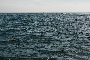 body of water, Water, Sea, Horizon HD wallpaper