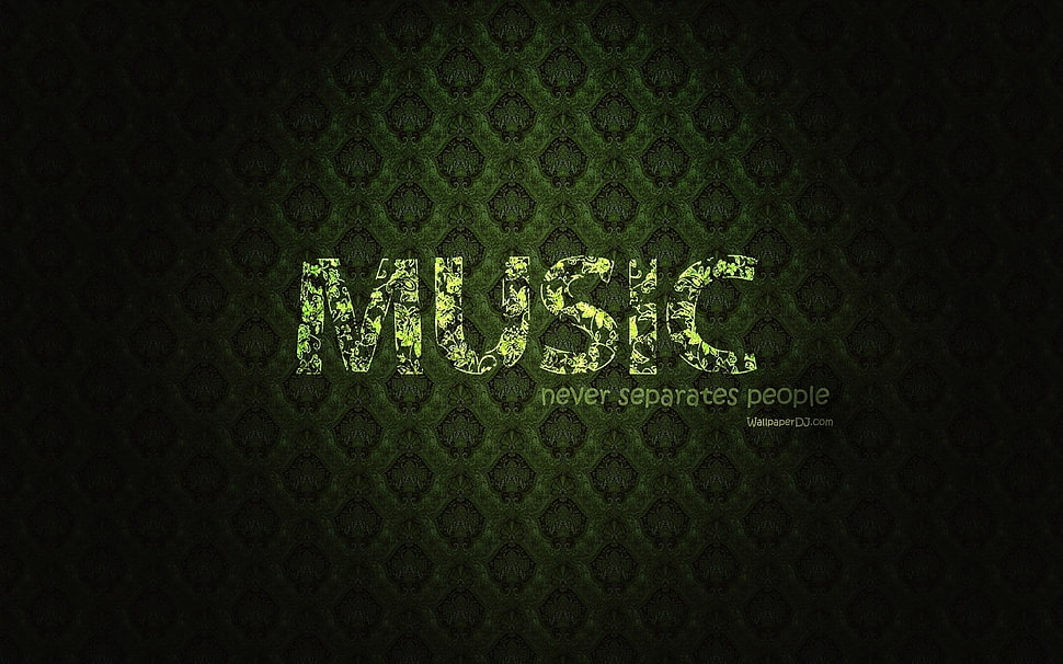 Music never separates people HD wallpaper