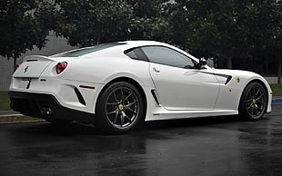 white Ferrari coupe, sports car