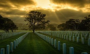 cemetery during golden hour photo, san francisco HD wallpaper