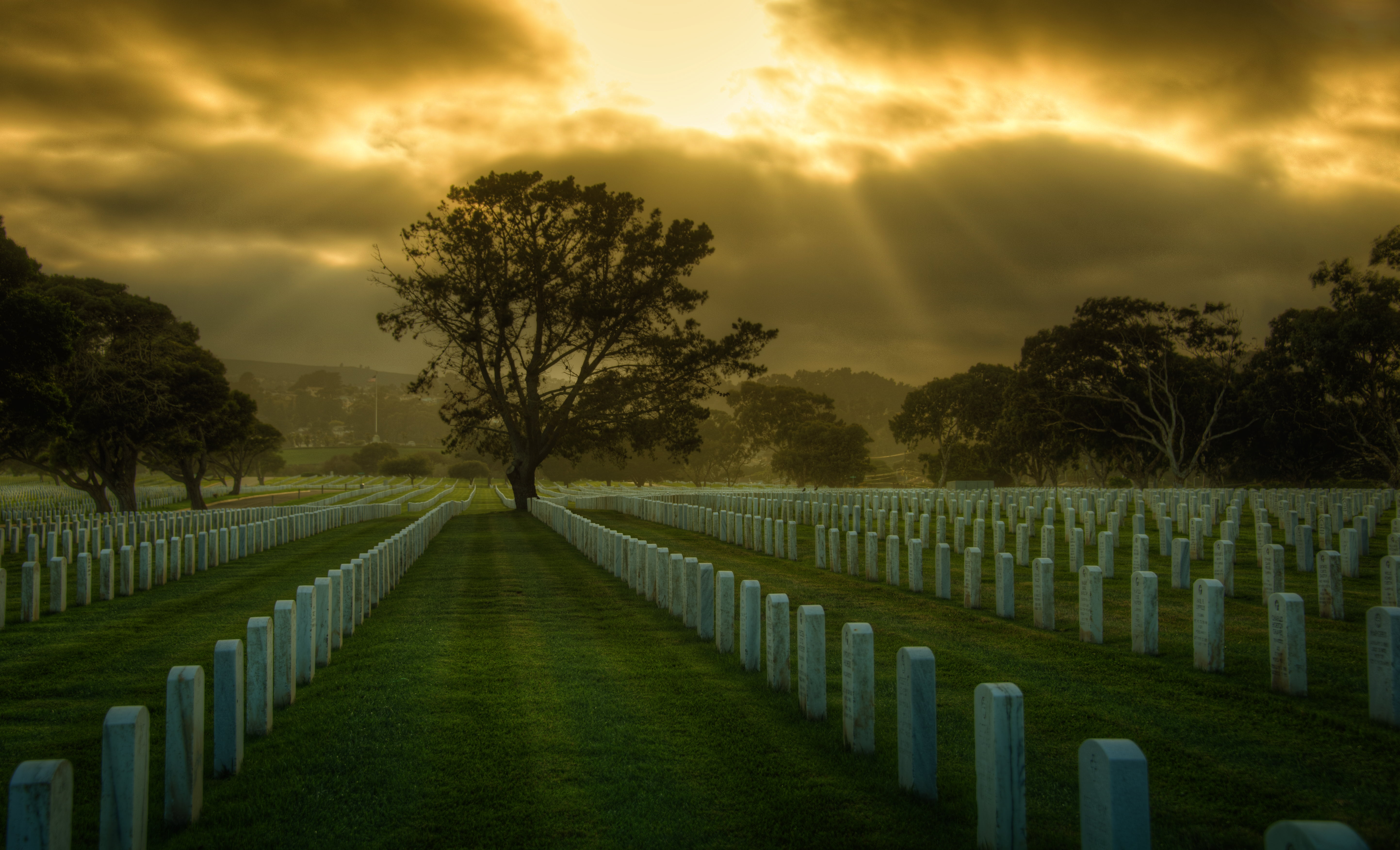 cemetery during golden hour photo, san francisco