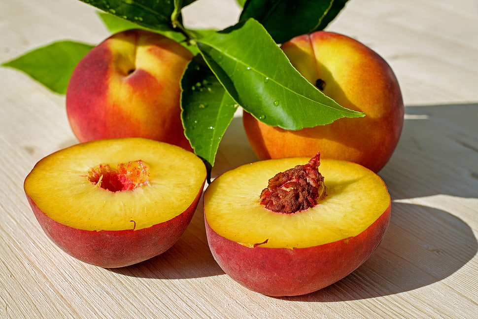 red round fruit HD wallpaper