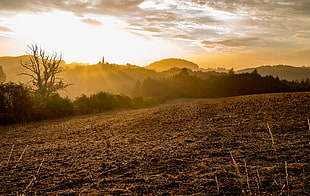 mountain range golden hour HD wallpaper