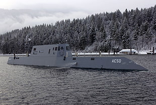 photograph of gray boat