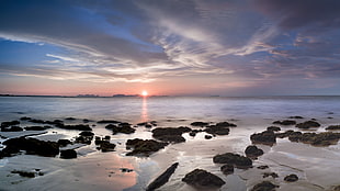 rocky seashore during sunset HD wallpaper