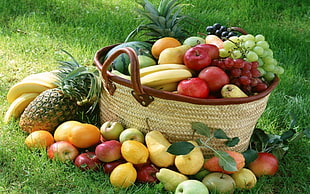 fruit lot, fruit, baskets, grapes, apples
