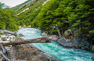 river beside mountain landscape photography