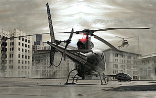 gray and brown helicopter digital wallpaper, helicopters