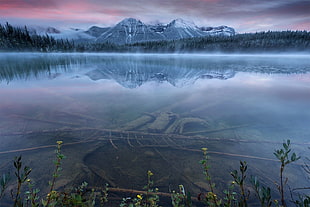 river and mountains, nature, landscape, Banff National Park, lake HD wallpaper