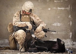 black assault rifle, soldier, dog, animals, military