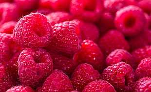 red fruits, Raspberries, Red, Bokeh