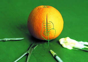 orange fruit
