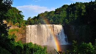 photo shot of water falls
