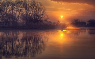 brown trees and body of water, reflection, calm, lake, nature