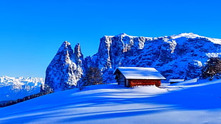 brown wooden house, snow, nature, mountains
