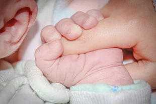 baby holding adult's finger HD wallpaper