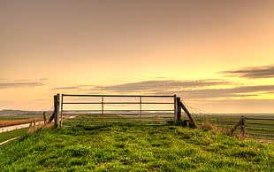 photography of brown wooden fence surrounded by green grass field during golden hour