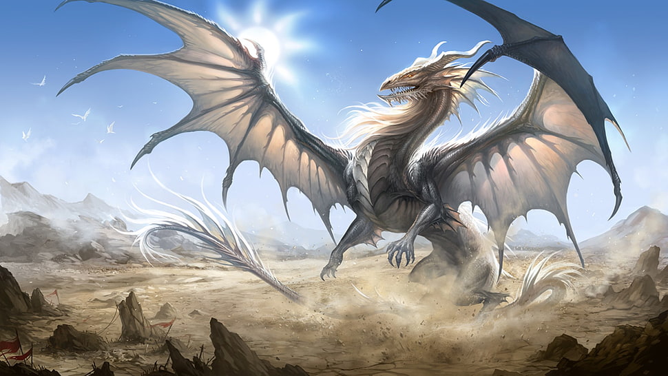 gray dragon illustration, dragon, fantasy art HD wallpaper