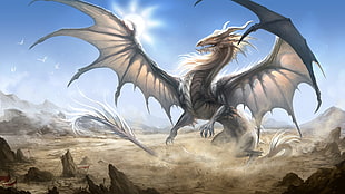 gray dragon illustration, dragon, fantasy art