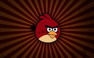 red Angry Bird wallpaper, Angry Birds, video games