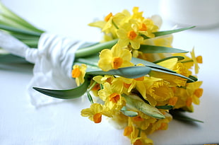 yellow petaled flowers bouquet