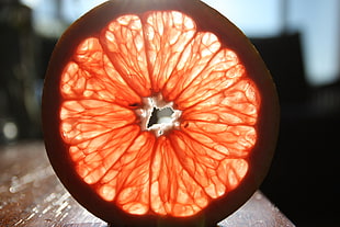 selective focus photography of sliced lemon, grapefruit HD wallpaper