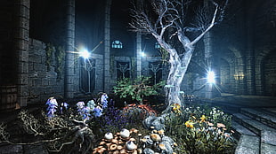 gray tree trunk, The Elder Scrolls V: Skyrim, plants