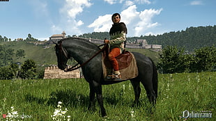 man riding on black horse