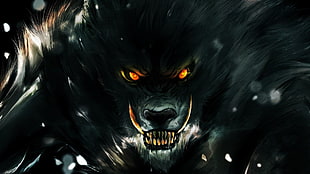 werewolf illustration HD wallpaper