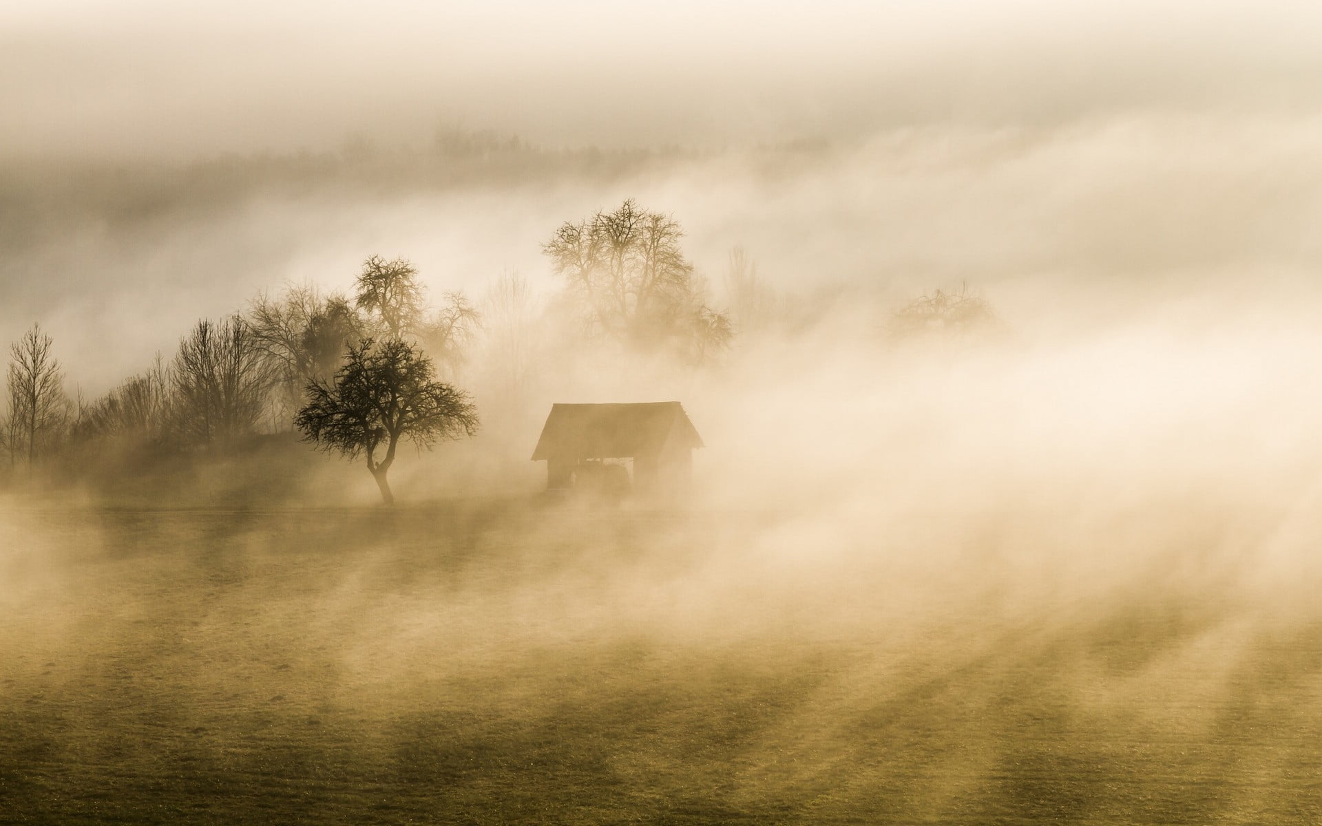 brown cabin, mist, nature, landscape, trees