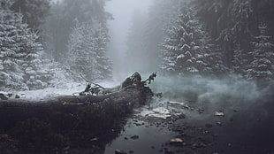 fallen tree on body of water beside snow covered trees