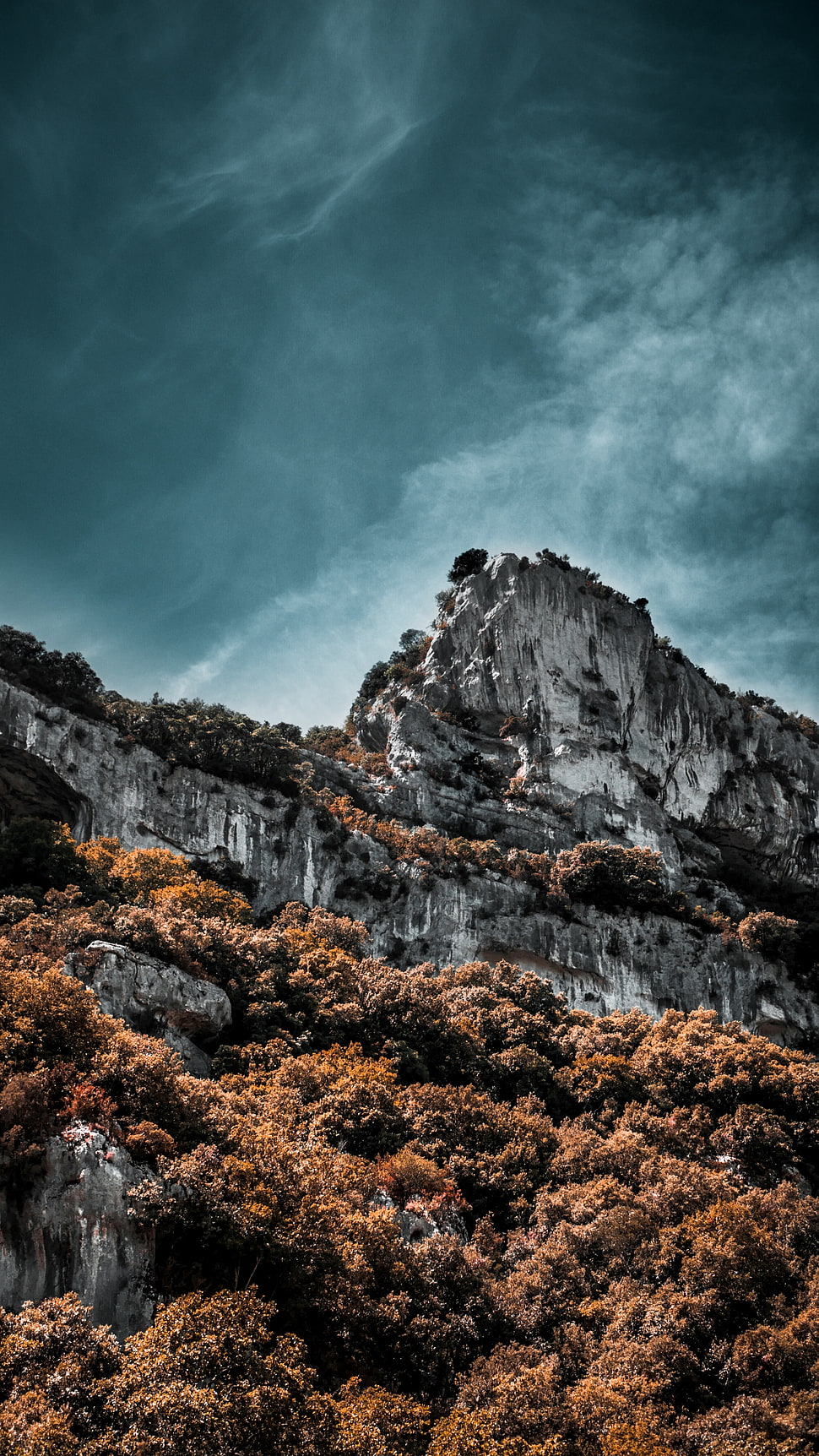 white and gray mountain HD wallpaper
