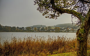 photo of lake surrounded by buildings and green grass field
