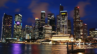 city buildings, city, cityscape, Singapore, night HD wallpaper