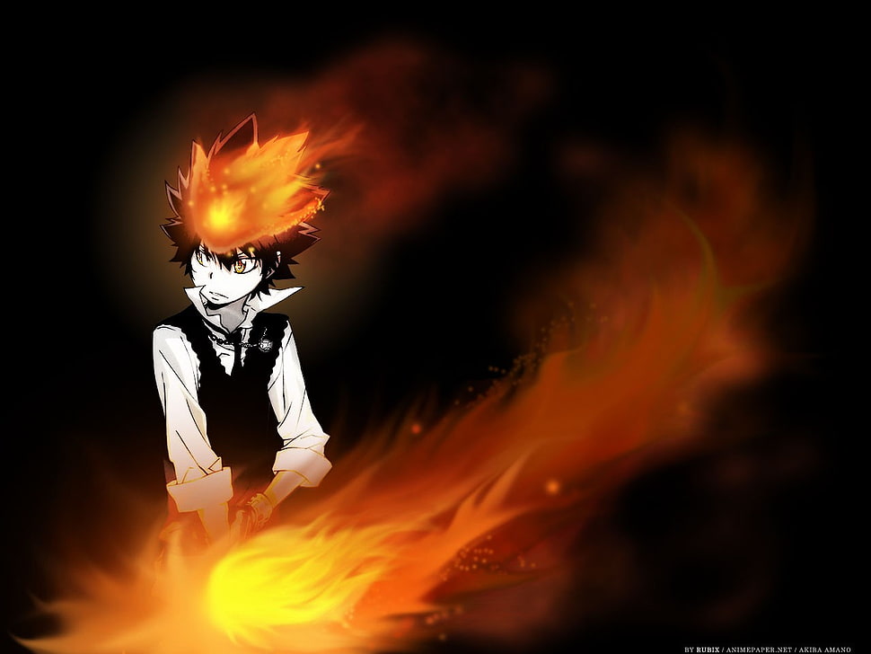 Tsuna digital wallpaper, Katekyo Hitman Reborn!, anime boys, manga, anime HD wallpaper