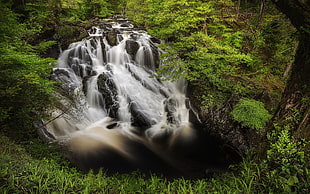 landscape, forest, river, waterfall HD wallpaper