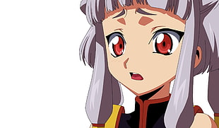 gray haired female anime character