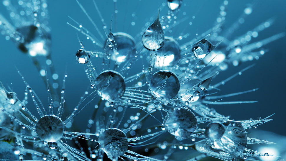 water drops wallpaper, digital art, CGI, 3D, water drops HD wallpaper