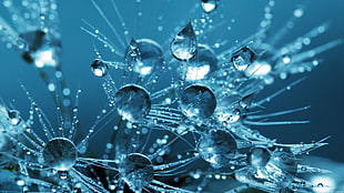 water drops wallpaper, digital art, CGI, 3D, water drops