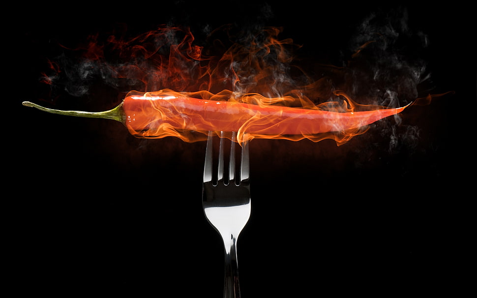 chili paper on fork HD wallpaper