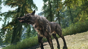 black wolf in forest videogame screenshot, The Elder Scrolls V: Skyrim, nature, wolf HD wallpaper